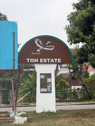 Toh Estate (D17), Terrace #617595581